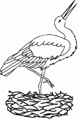 coloring picture of a stork in its nest