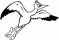coloring picture of ciconia is flying