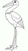 coloring picture of stork with its nozzle, its feathers and its legs