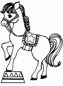 coloring picture of circus horse