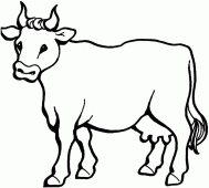 coloring picture of cow 2