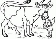 coloring picture of cow drink milk