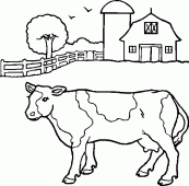 coloring picture of cow in a farm