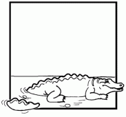 coloring picture of crocodile in water