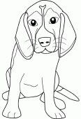 coloring picture of beagle