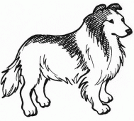 coloring picture of lassie