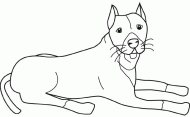 coloring picture of pit bull