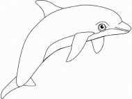 coloring picture of dolphin