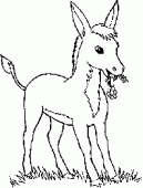 coloring picture of mule is eating grass