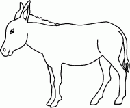 coloring picture of picture of Equus africanus asinus