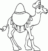 coloring picture of Arabian Camel