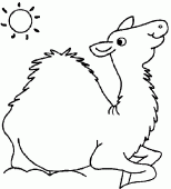 coloring picture of a dromedary sitting in the desert