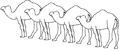 coloring picture of picture with four dromedaries