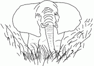 coloring picture of Elephant in savanna