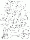coloring picture of elephant and skeleton