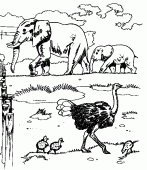 coloring picture of elephants and ostriches