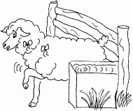 coloring picture of domestic sheep