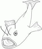 coloring picture of anglerfish