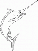 coloring picture of spearfish marlin