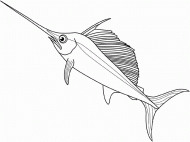 coloring picture of swordfish