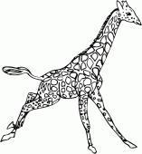 coloring picture of giraffe runs