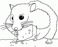 coloring picture of a hamster which eat cheese
