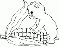 coloring picture of hamster which want eat of corn