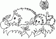 coloring picture of hedgehog family with a butterfly