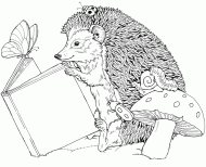 coloring picture of hedgehog read a book