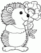 coloring picture of hedgehog with a flower