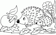 coloring picture of two hedgehogs with an apple