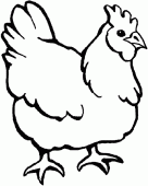 coloring picture of A chicken