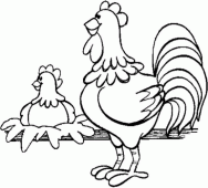 coloring picture of A rooster and a hen