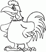 coloring picture of chanticleer