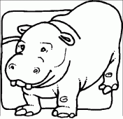 coloring picture of pygmy hippopotamus