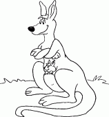 coloring picture of kangaroo with her baby in her pocket