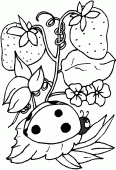 coloring picture of ladybird and fruits