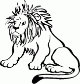coloring picture of coloring pages of a lion