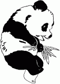coloring picture of giant panda