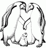 coloring picture of penguins with baby penguin