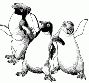 coloring picture of three penguins