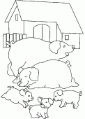 coloring picture of pigs in a farm