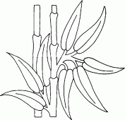 coloring picture of bamboo