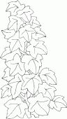 coloring picture of climbing ivy