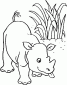 coloring picture of baby rhinoceros