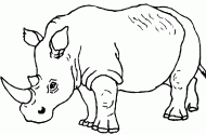 coloring picture of coloring picture of rhinoceros
