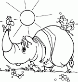 coloring picture of two chicken on a rhinoceros
