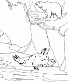 coloring picture of Seal and polar bear on the ice barrier