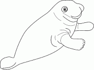 coloring picture of coloring page of manatee