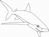 coloring picture of blue shark